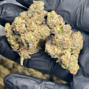 zuyaqui (horchata × chem og) – exotic gas strain