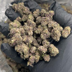 presidential runtz 👑 – exotic flower