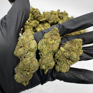 zebra cake indoor flower – premium hybrid cannabis strain