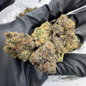 lemon cherry dep flower | premium exotic cannabis