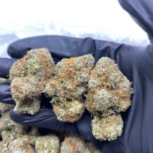 cherryhill runtz 🍒 (exotic indoor)